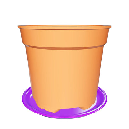 Small Plant Pot with Saucer